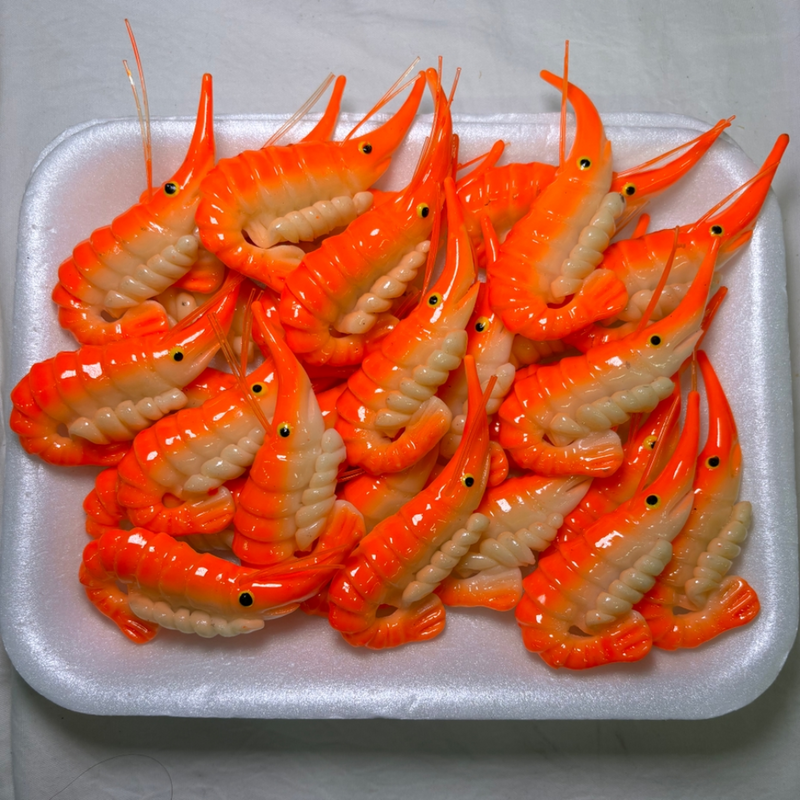 White tray of bright orange shrimp magnets. Each magnet has black eyes and a long nose.