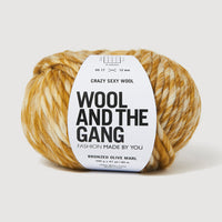 A single ball of variegated  bronze and white yarn with a white paper label reading 'Wool and the Gang' on a light gray background.