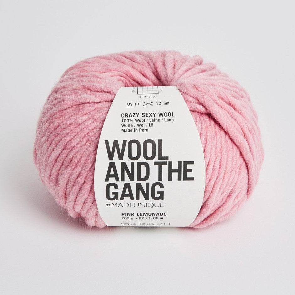 Wool and the Gang Crazy Sexy Wool