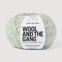 A single ball of variegated  light blue and white yarn with a white paper label reading 'Wool and the Gang' on a light gray background.