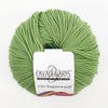Cascade 220 Superwash Yarn Cascade Green Apple 220 Superwash