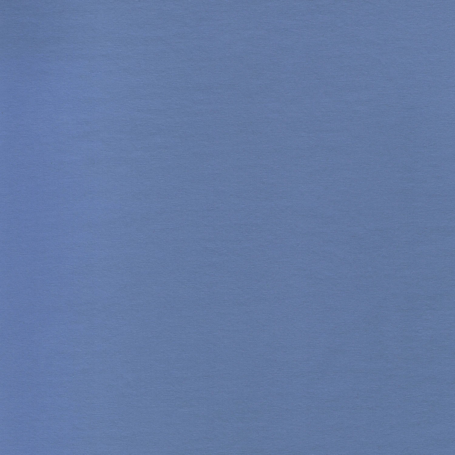 Laguna Cotton Jersey by Robert Kaufman in Cornflower