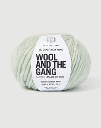 Wool and the Gang Lil' Crazy Sexy Wool Marl