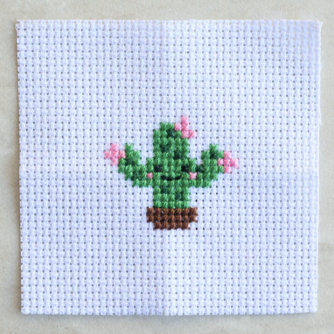 Beginner Cross Stitch – Brooklyn Craft Company