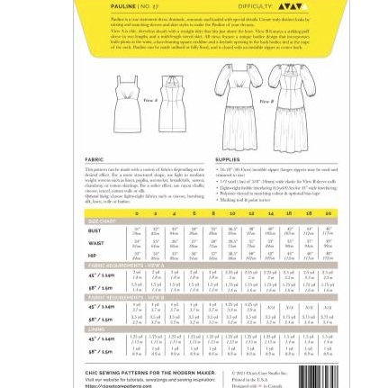 Sizing Info