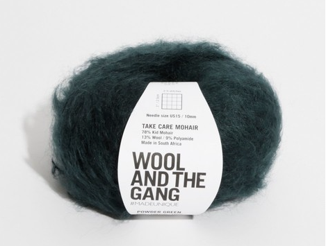 Take Care Mohair Yarn Wool and the Gang Powder Green