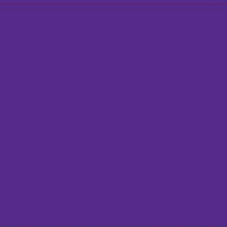 Duck Canvas by James Thompson in Viking Purple Fabric James Thompson