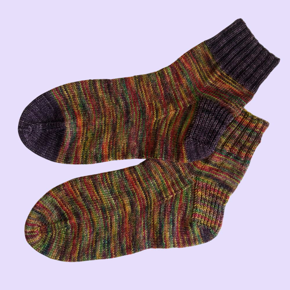 A pair of hand-knit socks featuring a multicolor variegated stripe pattern of green, yellow, orange, and red, with solid dark charcoal gray ribbed cuffs and toes, displayed on a light lavender background.