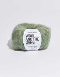 Take Care Mohair Yarn Wool and the Gang Eucalyptus Green