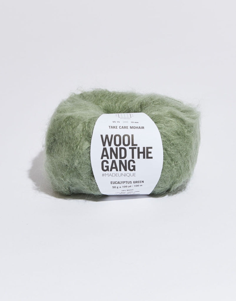Take Care Mohair Yarn Wool and the Gang Eucalyptus Green