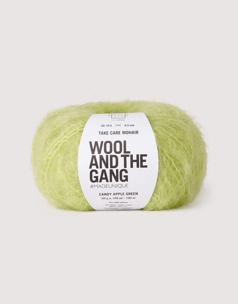 Take Care Mohair Yarn Wool and the Gang Candy Apple Green