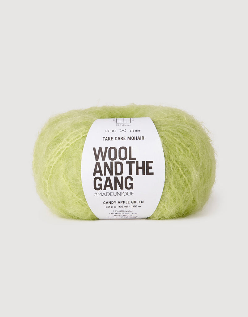 Take Care Mohair Yarn Wool and the Gang Candy Apple Green
