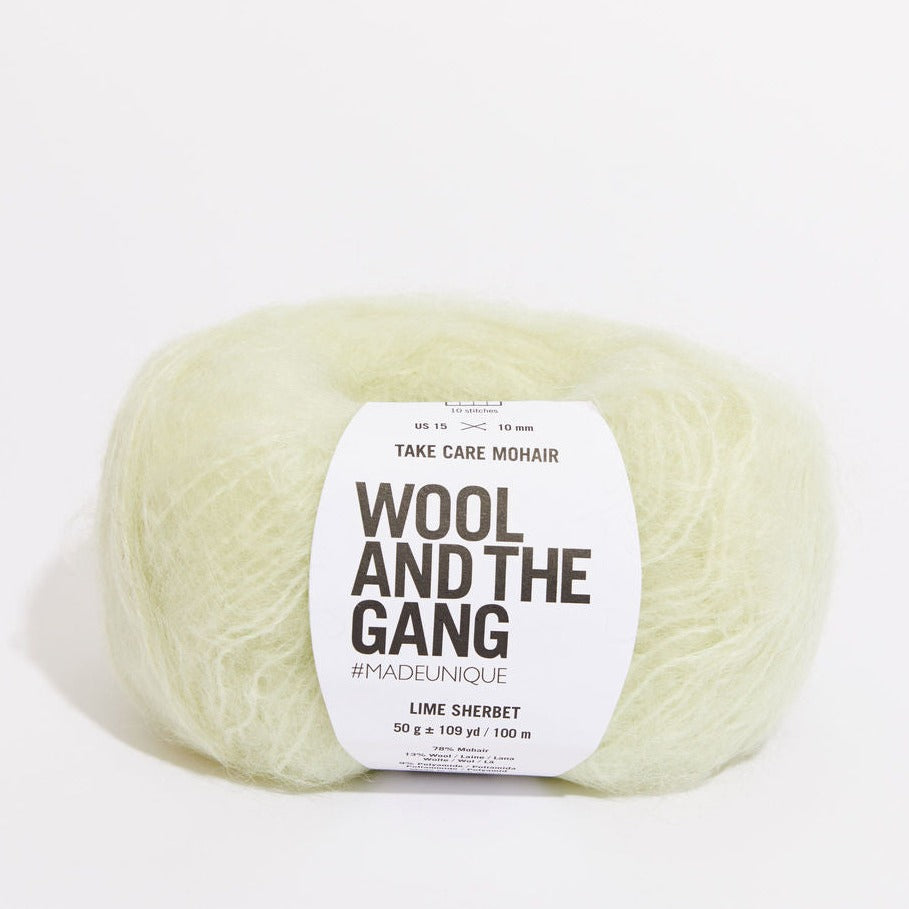 Take Care Mohair Yarn Wool and the Gang Lime Sherbert Mohair