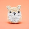 Front view of a beige and white crocheted shiba inu