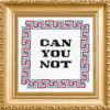 Cross-stitched phrase 'CAN YOU NOT' in a decorative gold frame with Greek key border.