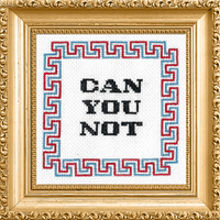Cross-stitched phrase 'CAN YOU NOT' in a decorative gold frame with Greek key border.
