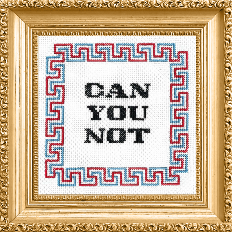 Cross-stitched phrase 'CAN YOU NOT' in a decorative gold frame with Greek key border.