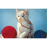 Yarn Ball Kitten Card