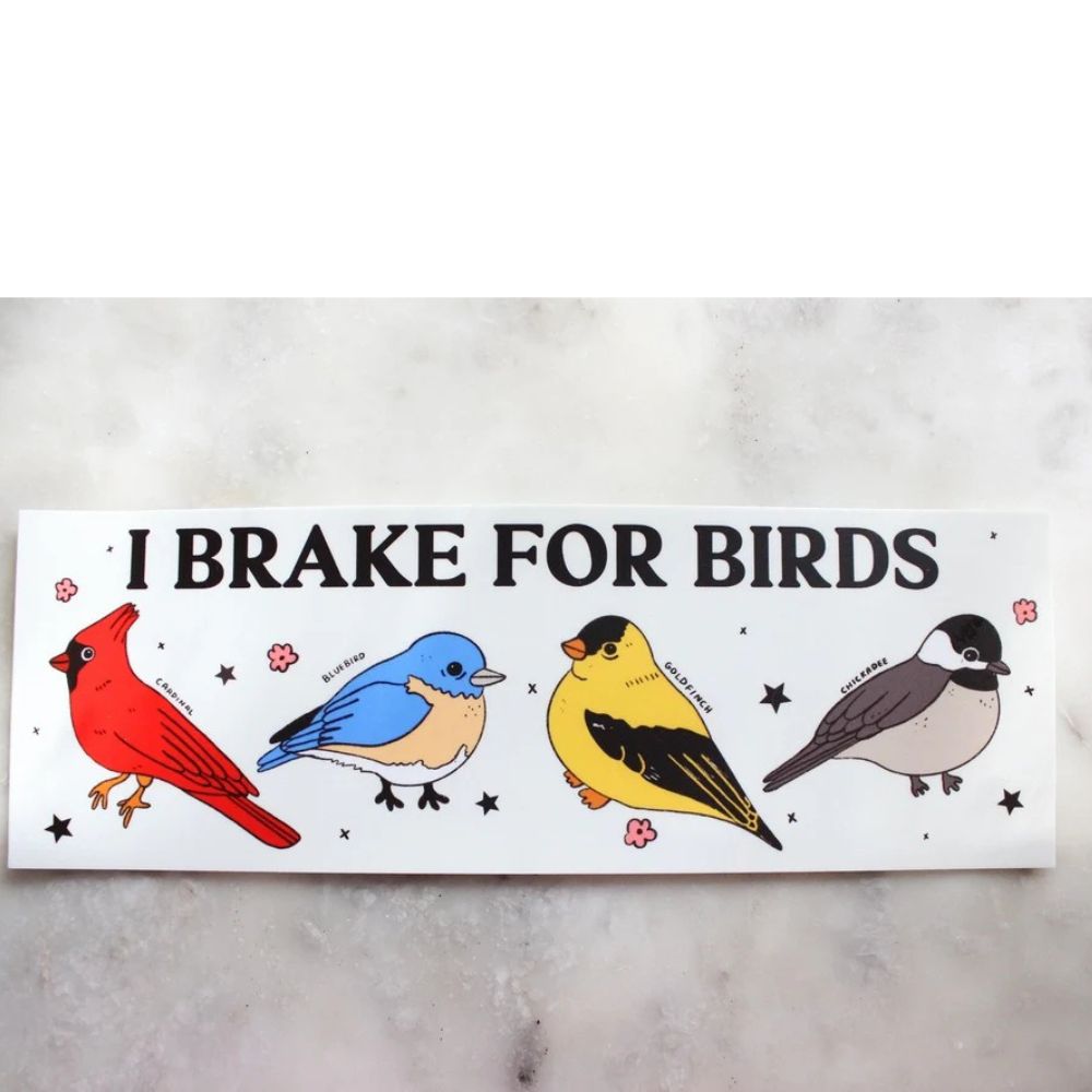 Sign with illustrations of birds and text 'I Brake for Birds' on a marble surface
