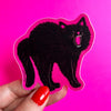 Black cat sticker on a pink background