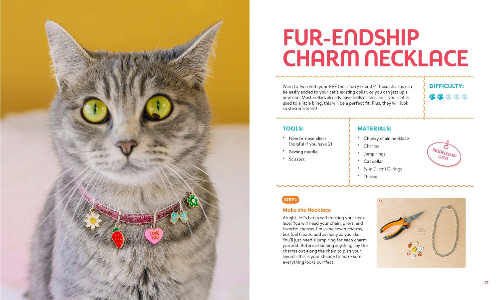 Cat wearing a fur-endship charm necklace with a DIY guide on a yellow background