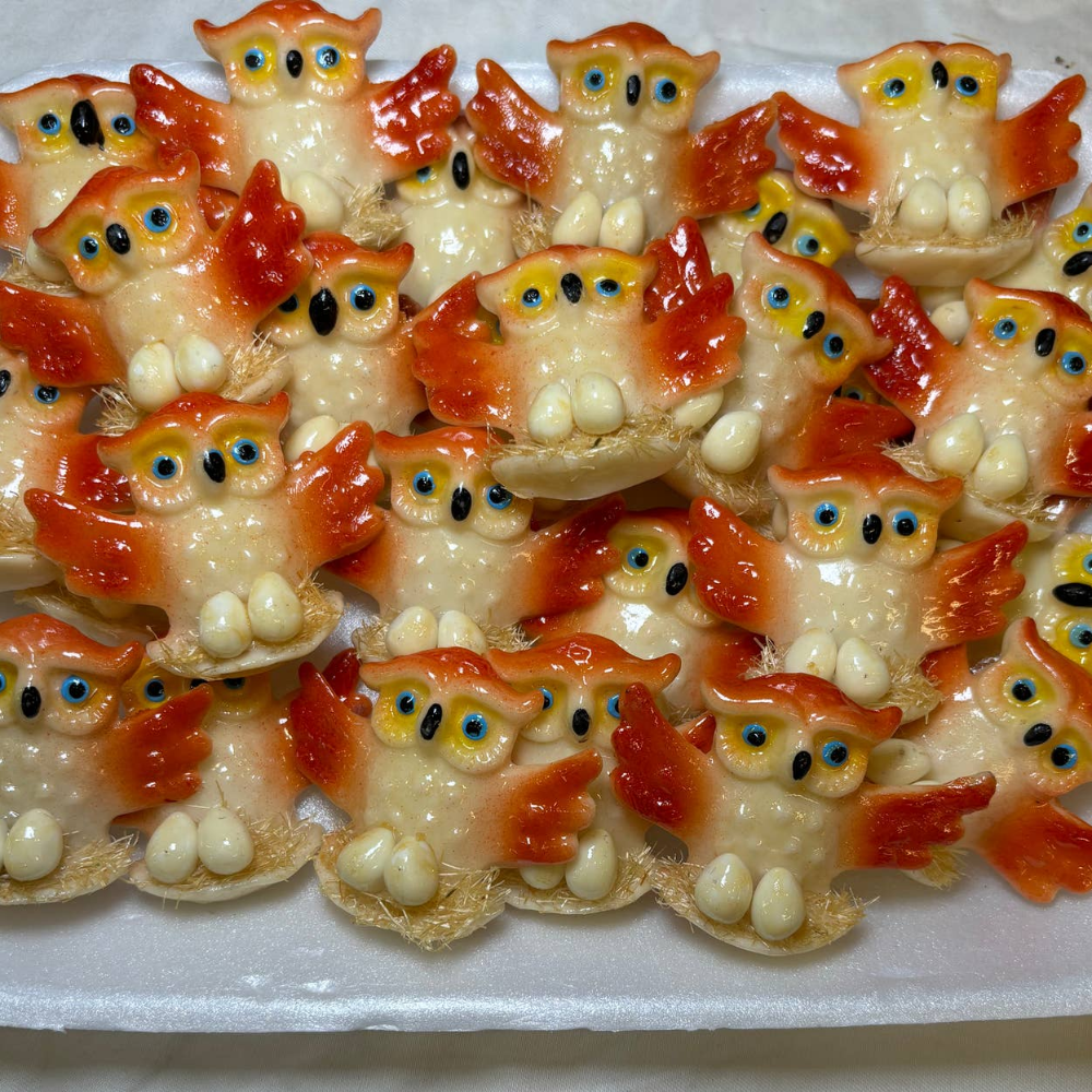 white tray of brown and white owl magnets. Each owl is sitting on a nest with two eggs.