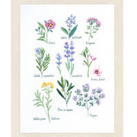 Illustration of various herbs with names on a white background