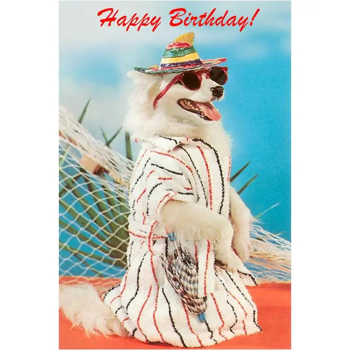 Dog in sunglasses and a hat with 'Happy Birthday!' text on a beach background