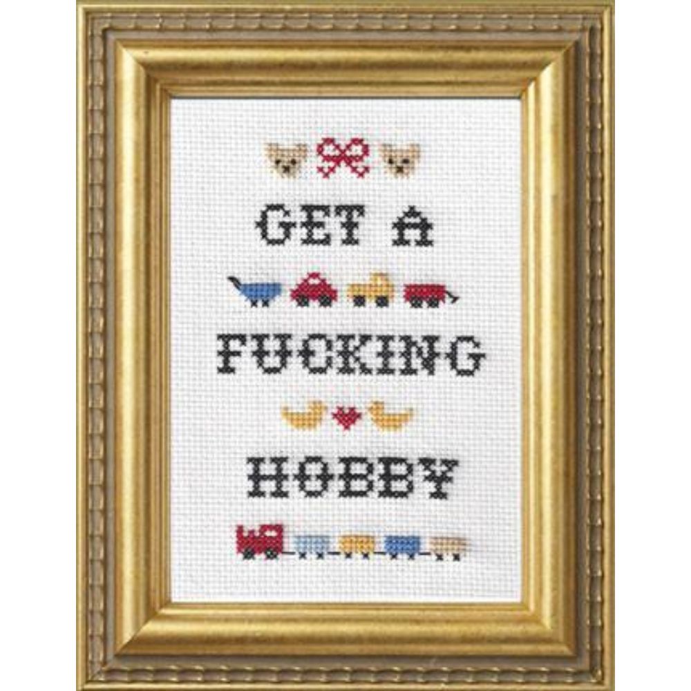 Framed cross-stitched art with text and small illustrations on a white background