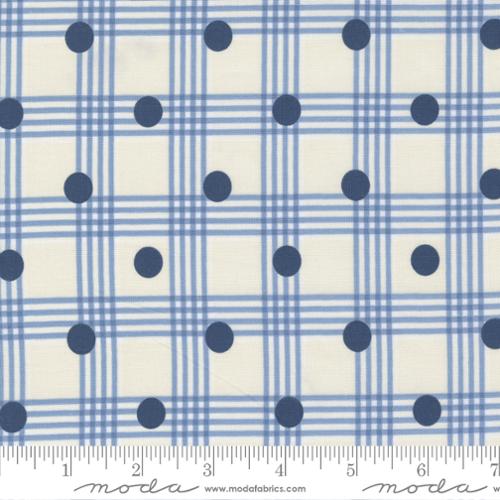 Blue and white check and polka dot fabric