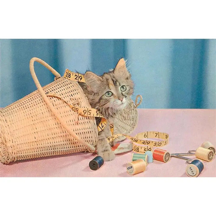 Sticker of a cat playing with a measuring tape and wicker basket on a pink surface with blue curtain background