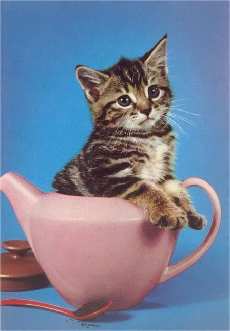 Kitten in Tea Pot Magnet