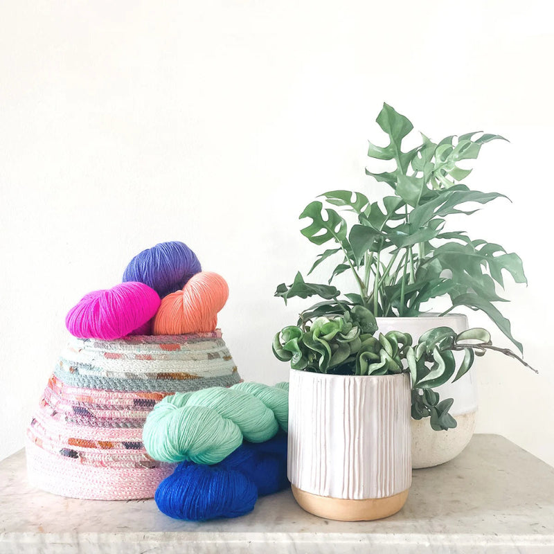 Colorful yarn balls in a woven basket with a plant on a light surface.
