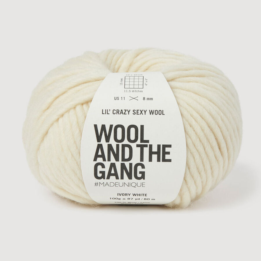 Wool and the Gang Lil' Crazy Sexy Wool – Brooklyn Craft Company Wool and the Gang Lil' Crazy Sexy Wool – Brooklyn Craft Company