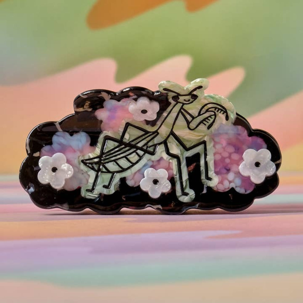Decorative brooch with a cloud design, flowers, and a mantis on a colorful background.