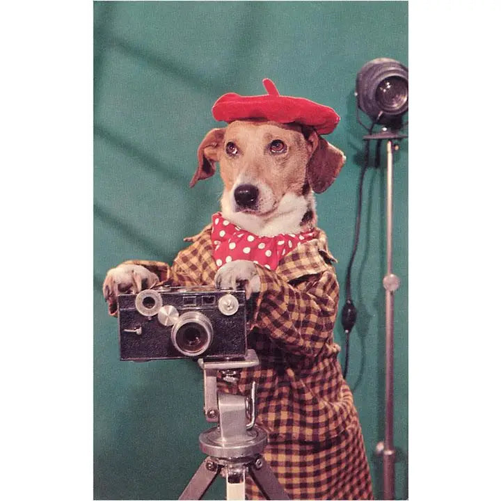 Dog dressed in a costume holding a camera with vintage equipment in the background