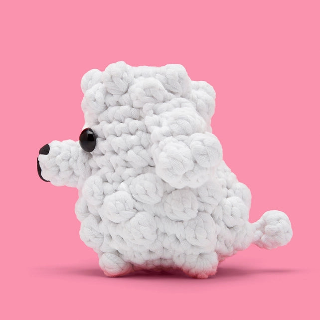 Sophie the poodle