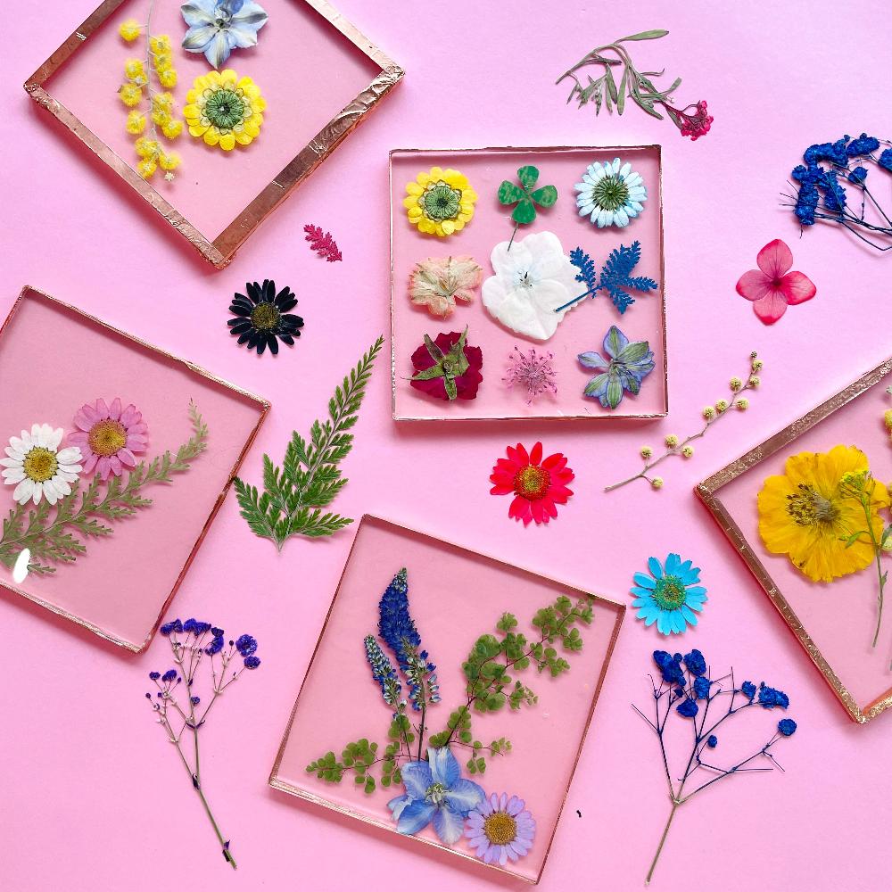 Pressed flowers in clear acrylic on pink background