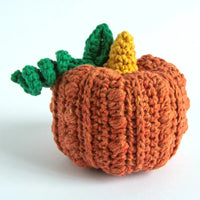 A colorful crochet pumpkin with a curling stem against a white background.