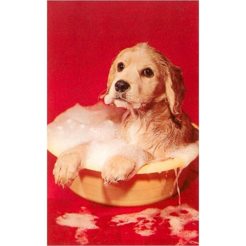 Dog in a bubble bath with a red background
