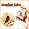 American Robin Mini Embroidery Kit Kit Capital Stitch Co.