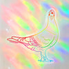 Pigeon suncatcher sticker