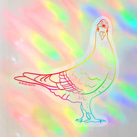 Pigeon suncatcher sticker