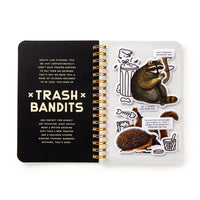 Sticker book with raccoon illustrations and text on a white background