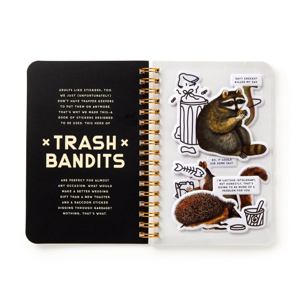 Sticker book with raccoon illustrations and text on a white background