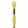 Embroidery Floss - 165 Needlework DMC