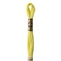 Embroidery Floss - 165 Needlework DMC