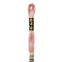 Embroidery Floss - 224 Needlework DMC