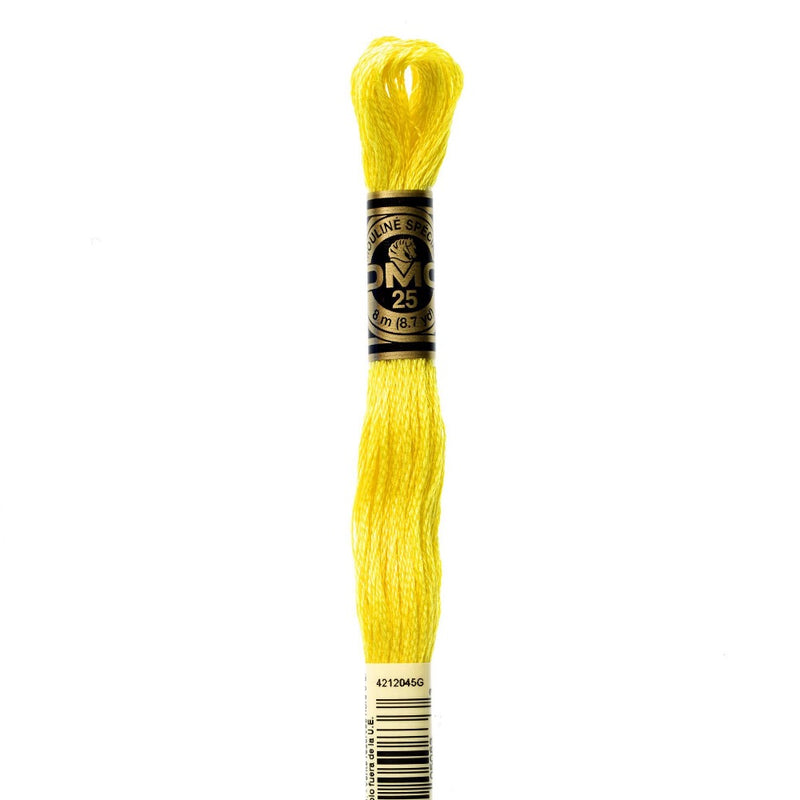 Embroidery Floss - 307 Needlework DMC