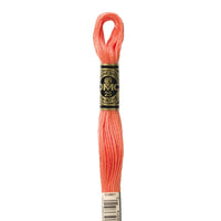 Embroidery Floss - 3340 Needlework DMC